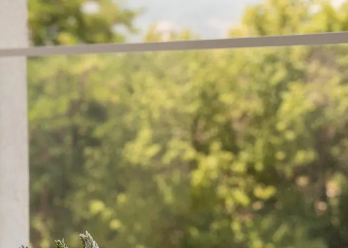 Apartament Comfort *